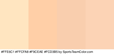 #FFE6C1 #FFCFA8 #F9CEAE #FCD3B5 Colors