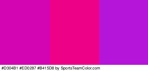 #D304B1 #ED0287 #B415D8 Colors