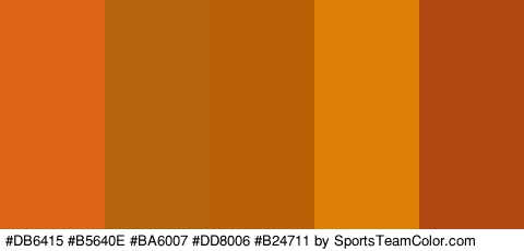 #DB6415 #B5640E #BA6007 #DD8006 #B24711 Colors