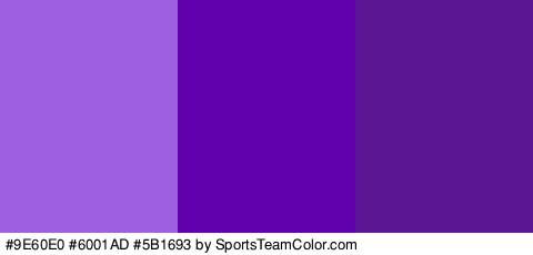 #9E60E0 #6001AD #5B1693 Colors