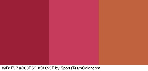 #9B1F37 #C63B5C #C1623F Colors