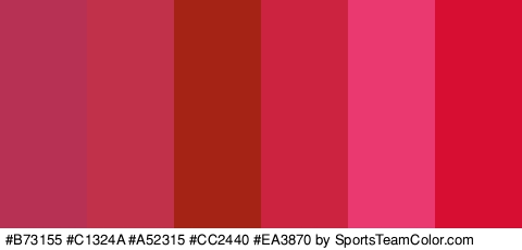 #B73155 #C1324A #A52315 #CC2440 #EA3870 #D80D32 Colors