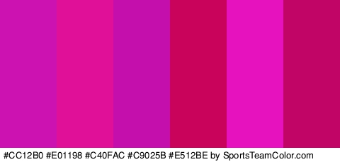 #CC12B0 #E01198 #C40FAC #C9025B #E512BE #C10566 Colors