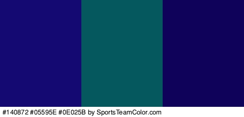 #140872 #05595E #0E025B Colors