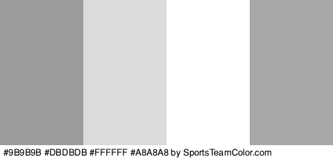 #9B9B9B #DBDBDB #FFFFFF #A8A8A8 Colors