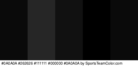 #0A0A0A #262626 #111111 #000000 #0A0A0A Colors