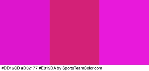 #DD16CD #D32177 #E819DA Colors