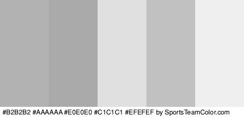 #B2B2B2 #AAAAAA #E0E0E0 #C1C1C1 #EFEFEF Colors