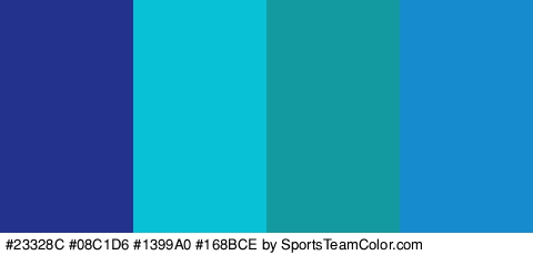 #23328C #08C1D6 #1399A0 #168BCE Colors