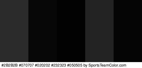 #2B2B2B #070707 #020202 #232323 #050505 Colors