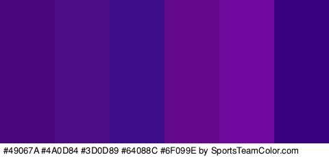 #49067A #4A0D84 #3D0D89 #64088C #6F099E #38027F Colors