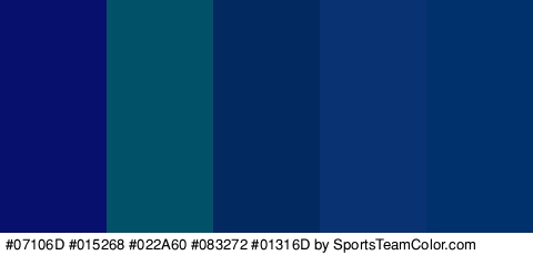 #07106D #015268 #022A60 #083272 #01316D Colors