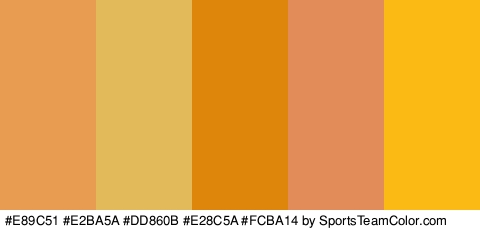 #E89C51 #E2BA5A #DD860B #E28C5A #FCBA14 Colors