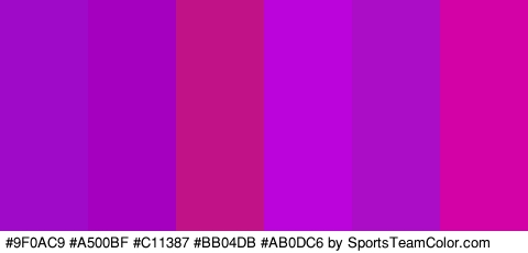 #9F0AC9 #A500BF #C11387 #BB04DB #AB0DC6 #D302A6 Colors