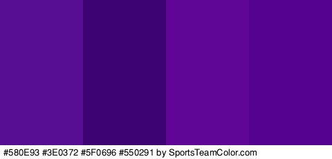 #580E93 #3E0372 #5F0696 #550291 Colors