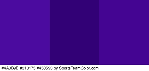 #4A0B9E #310175 #450593 Colors