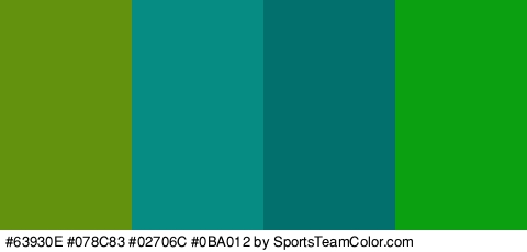 #63930E #078C83 #02706C #0BA012 Colors