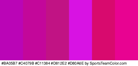 #BA05B7 #C4079B #C11384 #D812E2 #D80A6E #E80490 Colors