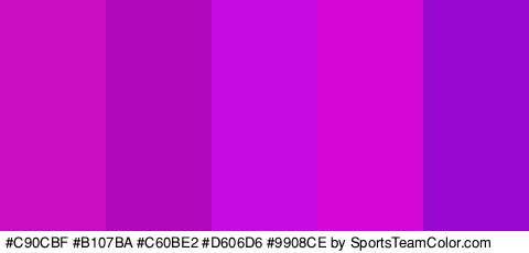 #C90CBF #B107BA #C60BE2 #D606D6 #9908CE Colors