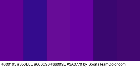 #600193 #350B8E #660C96 #66009E #3A0770 #420770 Colors