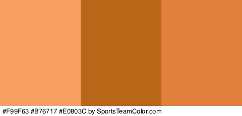 #F99F63 #B76717 #E0803C Colors