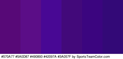 #570A77 #5A0D87 #490893 #42097A #3A057F #320977 Colors