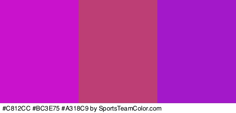 #C812CC #BC3E75 #A318C9 Colors