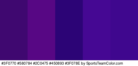 #3F0770 #580784 #2C0475 #450893 #3F078E Colors