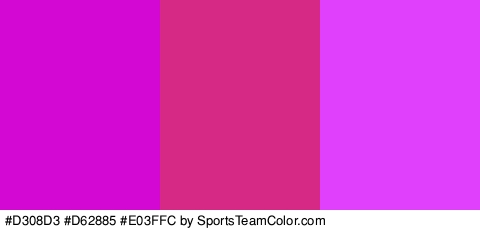 #D308D3 #D62885 #E03FFC Colors