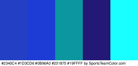 #2340C4 #1D3CD6 #0B96A0 #231875 #19FFFF Colors