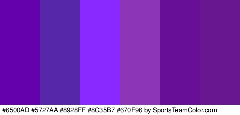 #6500AD #5727AA #8928FF #8C35B7 #670F96 #681791 Colors