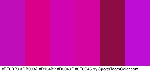 #BF0DB9 #DB008A #D104B2 #D3049F #8E0C45 #BE0ED6 Colors