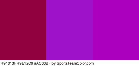 #91013F #9E12C9 #AC00BF Colors