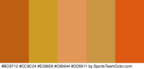 #BC5F12 #CC9C24 #E29658 #C99644 #DD5911 Colors