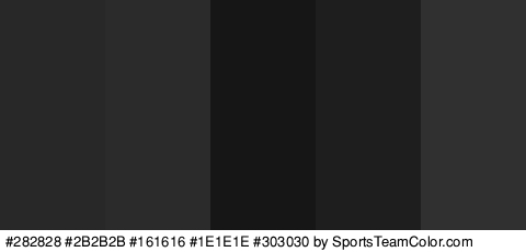 #282828 #2B2B2B #161616 #1E1E1E #303030 Colors