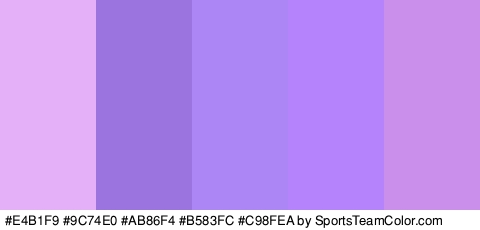 #E4B1F9 #9C74E0 #AB86F4 #B583FC #C98FEA Colors