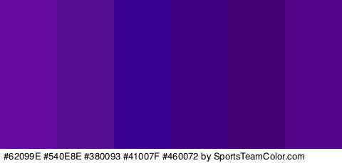 #62099E #540E8E #380093 #41007F #460072 #530587 Colors