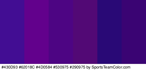 #430D93 #62018C #4D0584 #530975 #290975 #3A0572 Colors