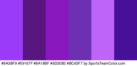 #9A3BF9 #59167F #8A18BF #6D30B2 #BC65F7 #481096 Colors