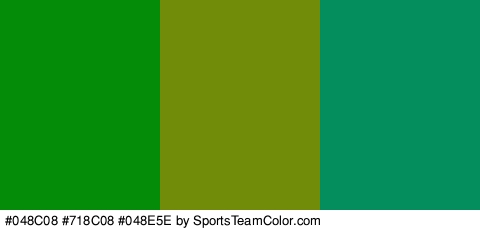 #048C08 #718C08 #048E5E Colors