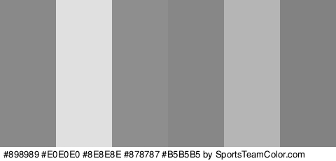 #898989 #E0E0E0 #8E8E8E #878787 #B5B5B5 #828282 Colors