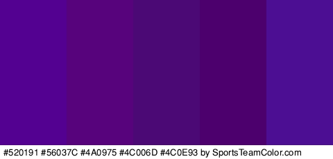 #520191 #56037C #4A0975 #4C006D #4C0E93 Colors