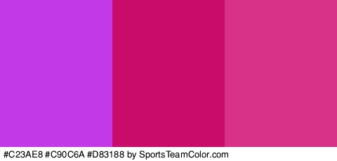 #C23AE8 #C90C6A #D83188 Colors