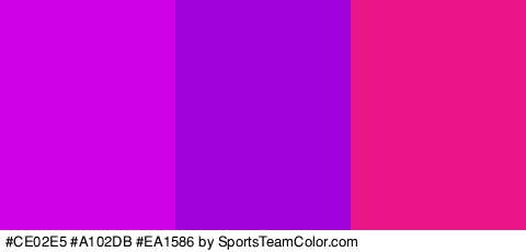 #CE02E5 #A102DB #EA1586 Colors