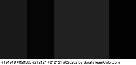 #191919 #050505 #212121 #212121 #020202 Colors