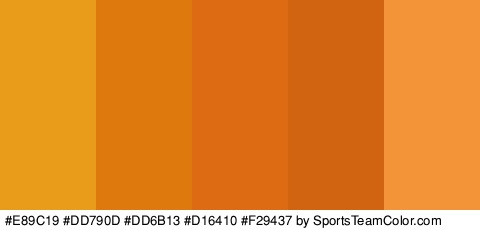 #E89C19 #DD790D #DD6B13 #D16410 #F29437 Colors