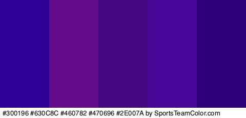 #300196 #630C8C #460782 #470696 #2E007A Colors