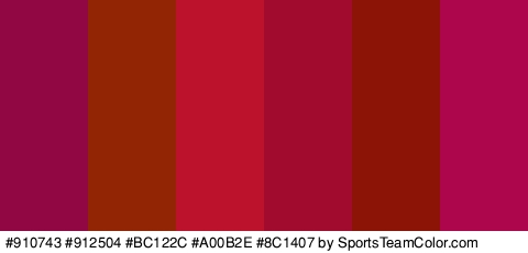 #910743 #912504 #BC122C #A00B2E #8C1407 #AD064C Colors