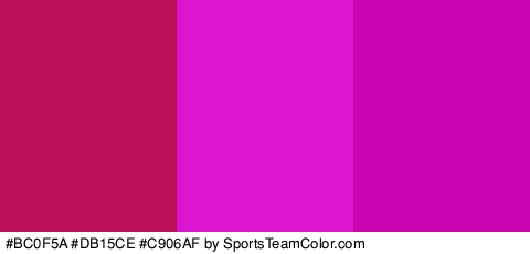 #BC0F5A #DB15CE #C906AF Colors