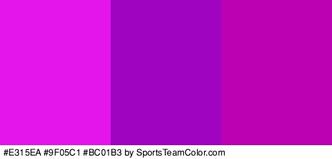 #E315EA #9F05C1 #BC01B3 Colors